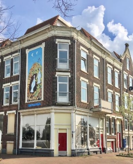 Katendrecht District-4